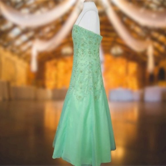 TONY BOWLS Mesmerizing Prom/Pageant Beaded Gown - Picture 3 of 8